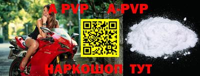 ECSTASY Новозыбков