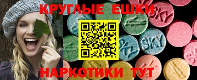 ECSTASY Новозыбков